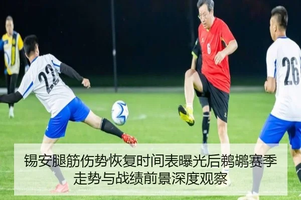 锡安腿筋伤势恢复时间表曝光后鹈鹕赛季走势与战绩前景深度观察